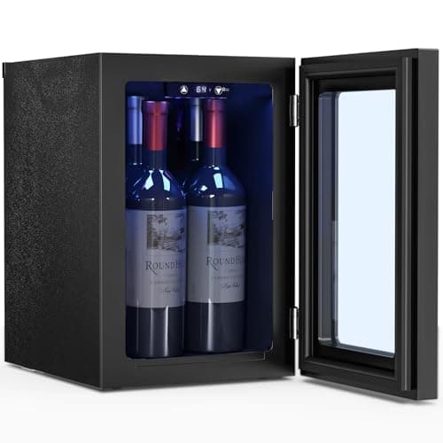 Best Small Wine Fridge